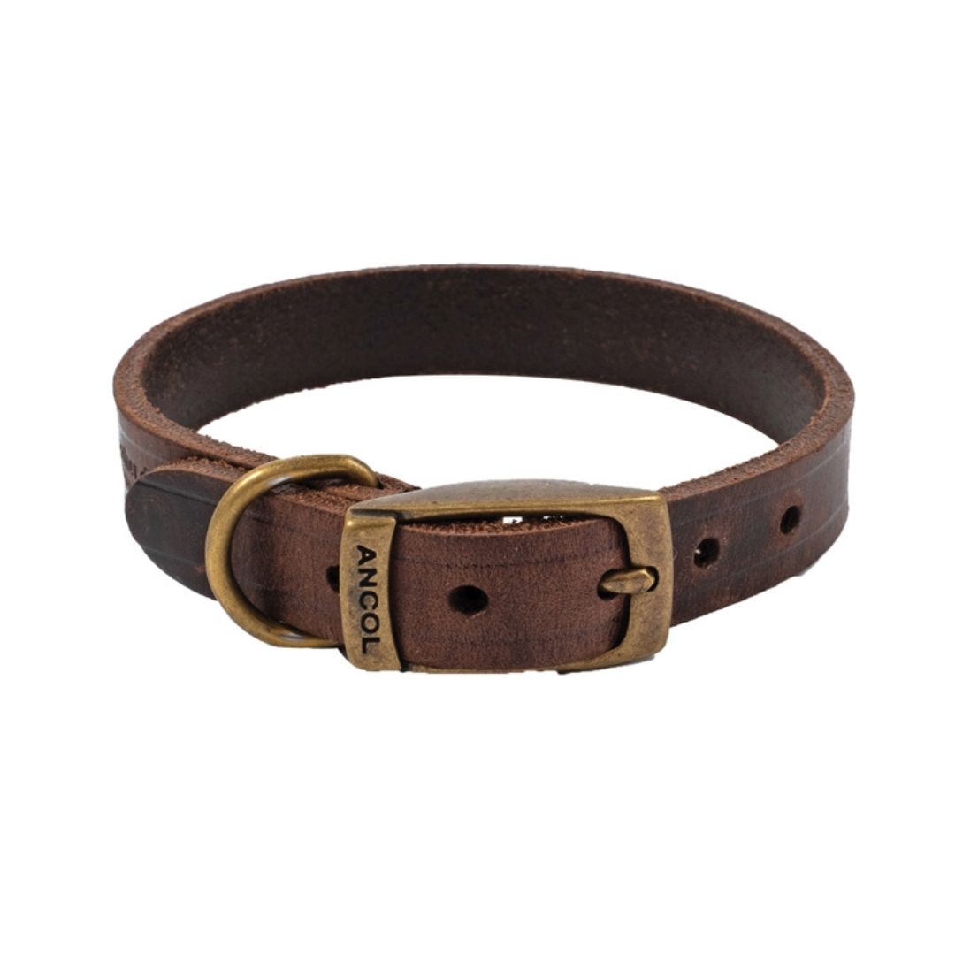 Bisley leather dog collar durable countryside dog collar outdoor accessory